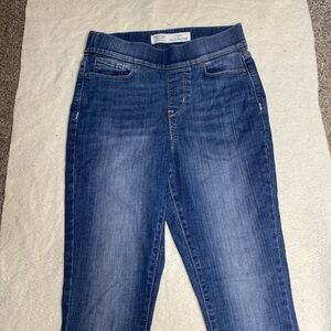 Signature by Levi Strauss Blue Skinny Jeans